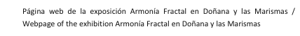 Página web de la exposición Armonía Fractal en Doñana y las Marismas / Webpage of the exhibition Armonía Fractal en Doñana y las Marismas